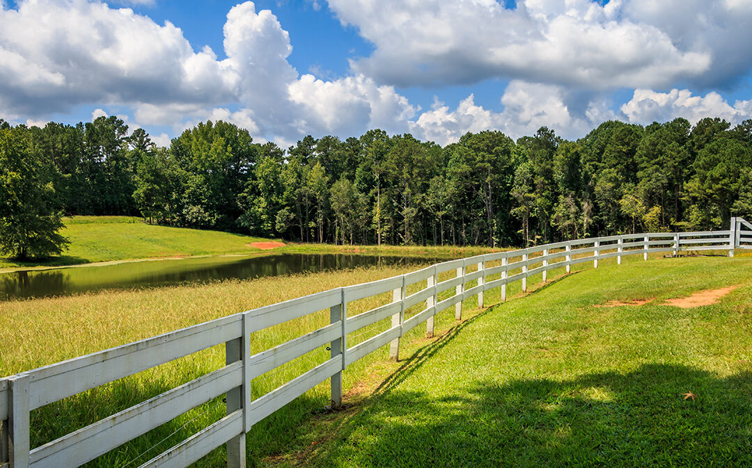 How We Can Help with Boundary Line Disputes